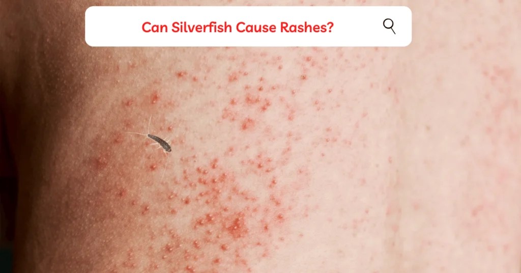 Do Silverfish Bite? Debunking the Myth and Revealing the Facts BugsTips