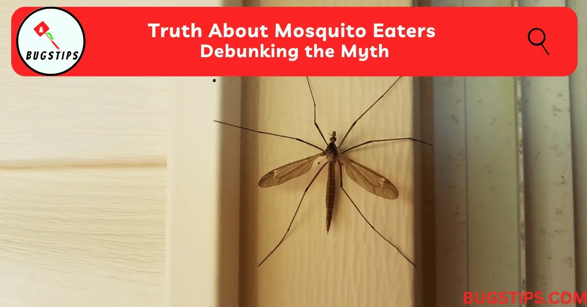 Truth About Mosquito Eaters Debunking the Myth BugsTips