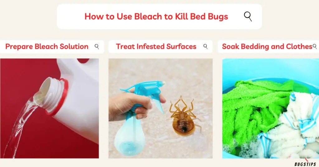 Does Bleach Kill Bed Bugs? A Comprehensive Guide BugsTips