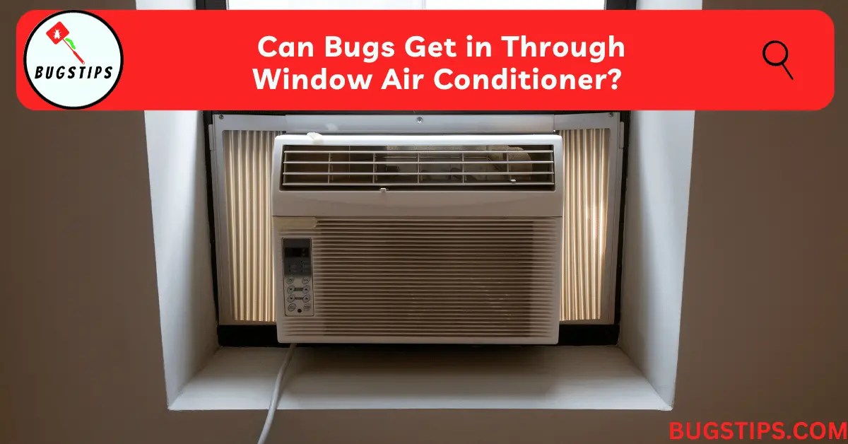 Can Bugs Get in Through Window Air Conditioner? Genius Tips to Prevent