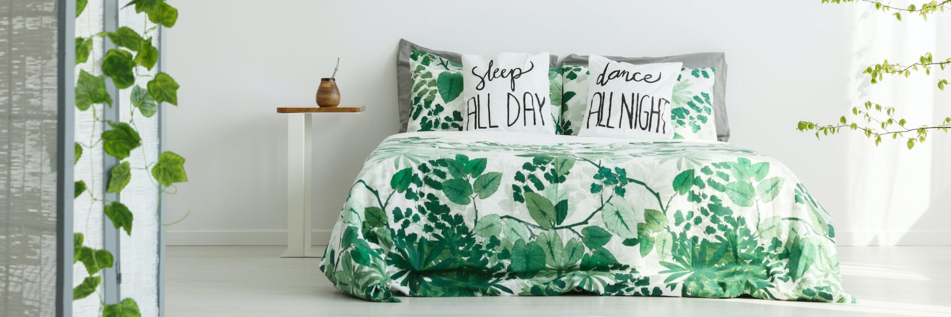 Skunk Removal Bugs Away Pest Control