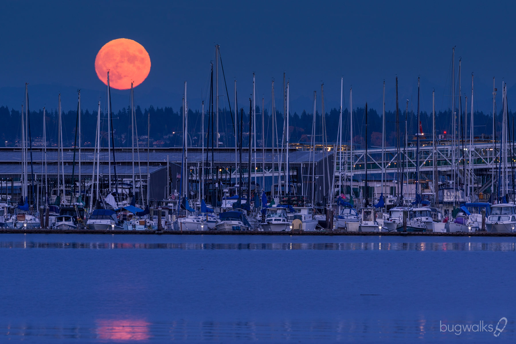 Kingston, Washington Home, Sweet, Home... Photography by Curtis W