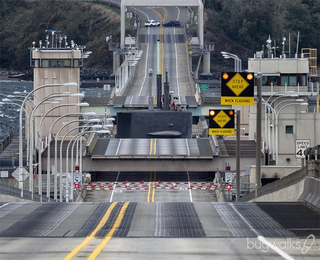 Lucky Shot Timing is Everything! Photography by Curtis W. Smith