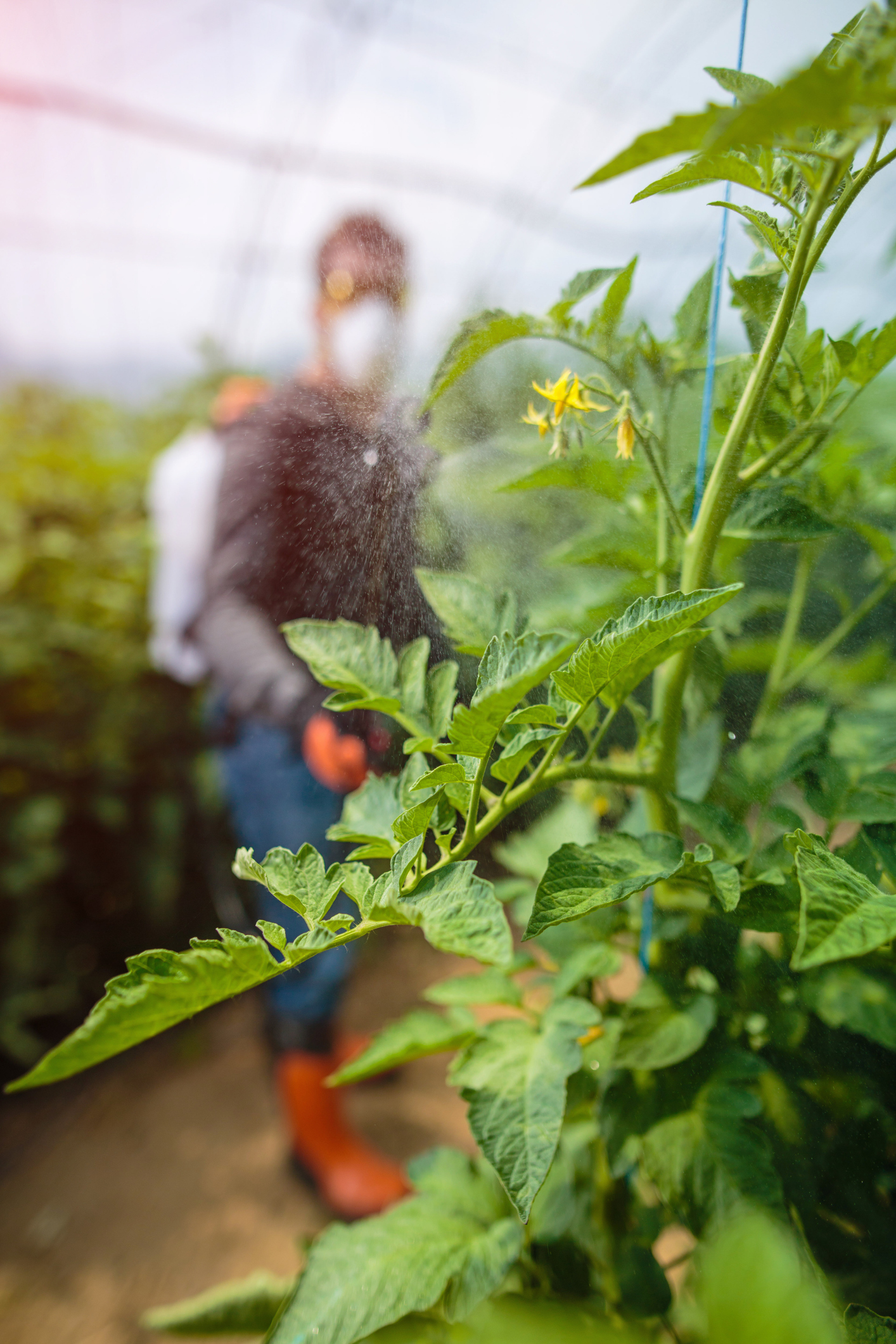 Pest Control Santa Clarita Bug Wars