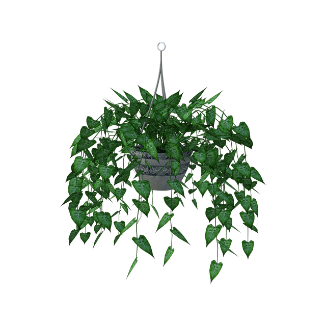 How to Get Rid of Snails in Potted Plants (Fast and Easy) BugWiz