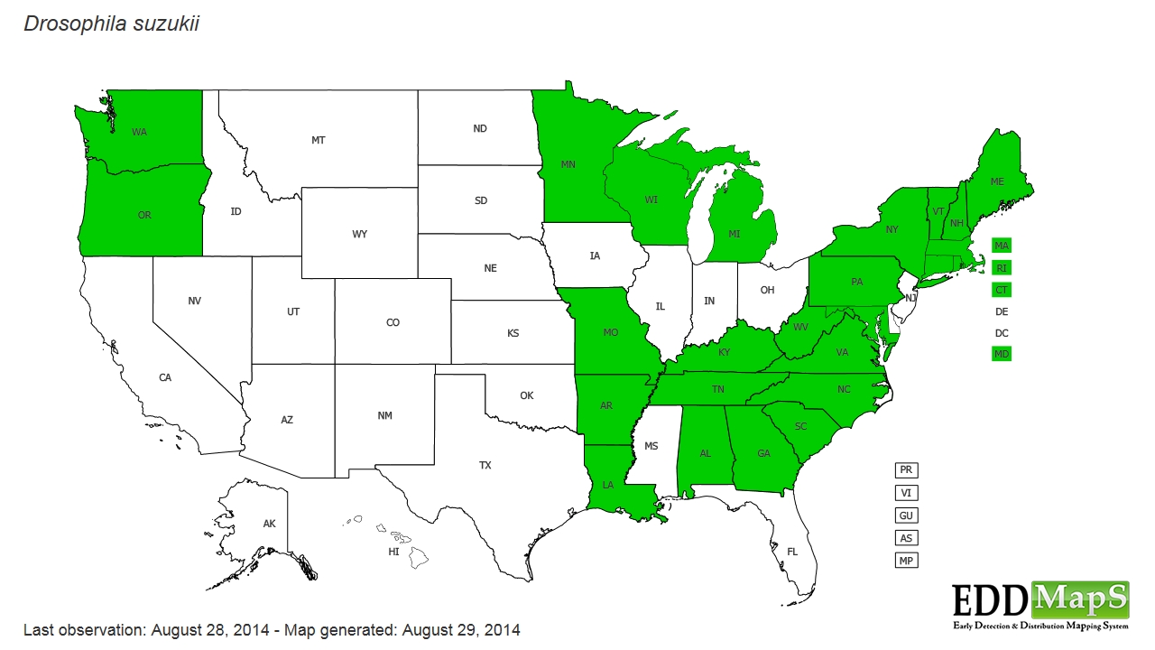spotted wing drosophila (Drosophila suzukii) EDDMapS State Distribution
