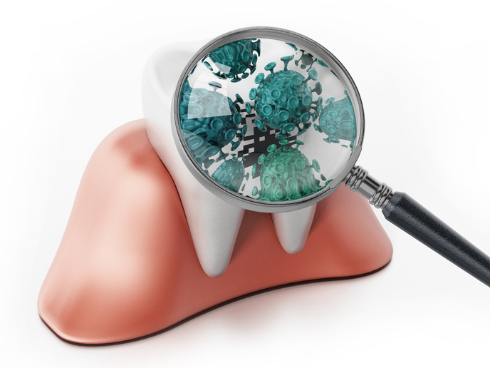 Different Types of Bacteria Present In the Mouth Smiles by Shields
