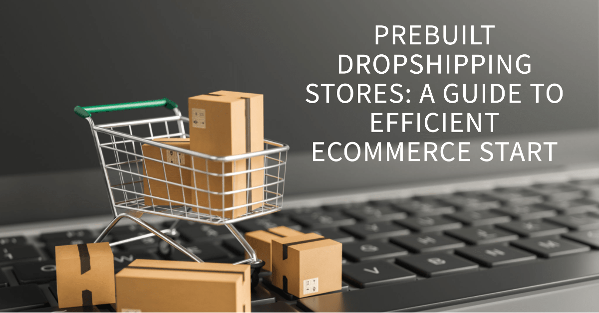 Prebuilt Dropshipping Stores A Guide to Efficient Start