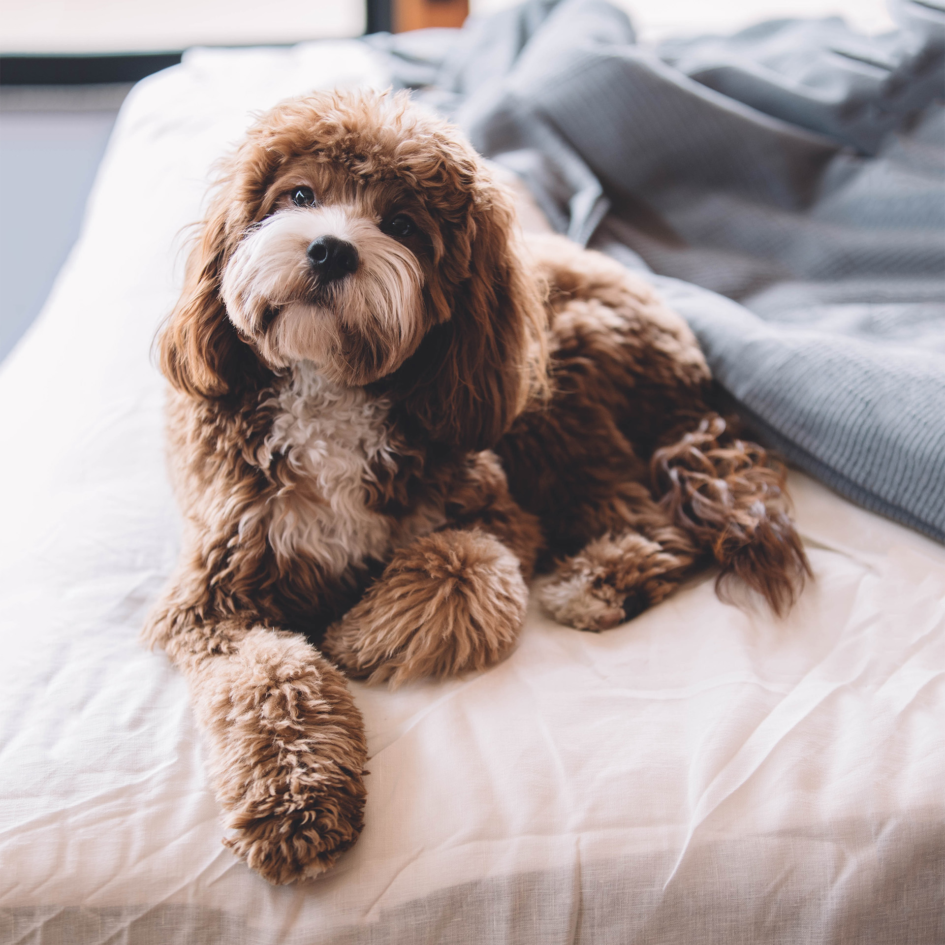 Modern Downtown Apartments Appleton NOW AVAILABLE Block 800