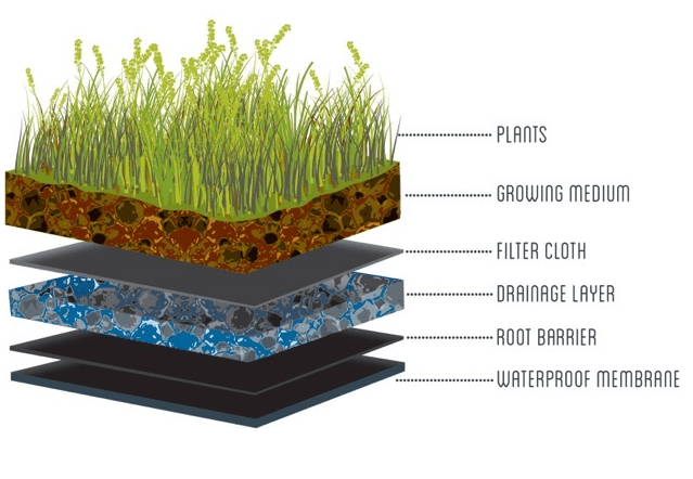 Embracing Nature: The Art and Science of Green Roof Design - Builder Boy