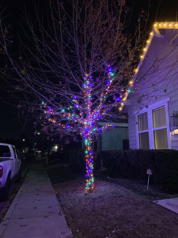 West Coast Holiday Lights Other in Yuba city , Ca