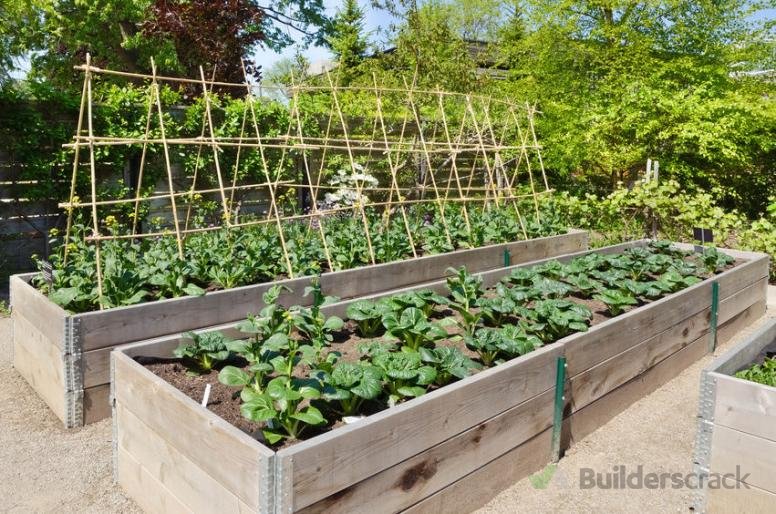 Basic lawn edging and raised vege garden beds ( 137077) Builderscrack
