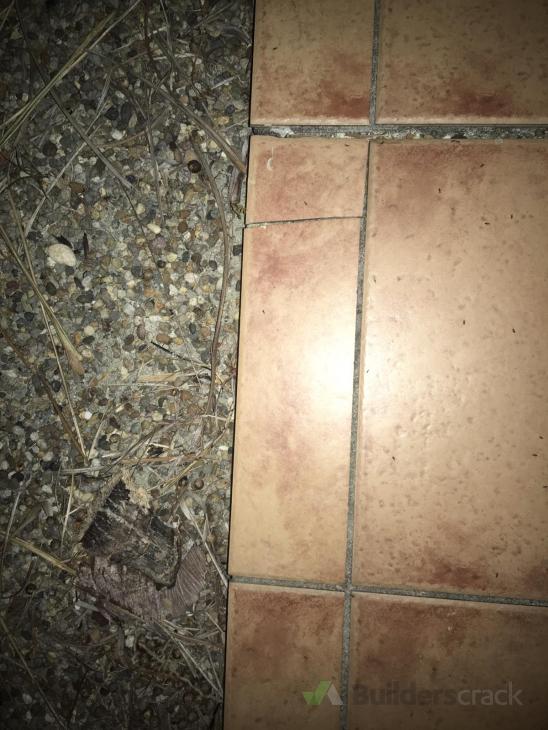 Regrouting shower and replacing a few damaged tiles ( 331712