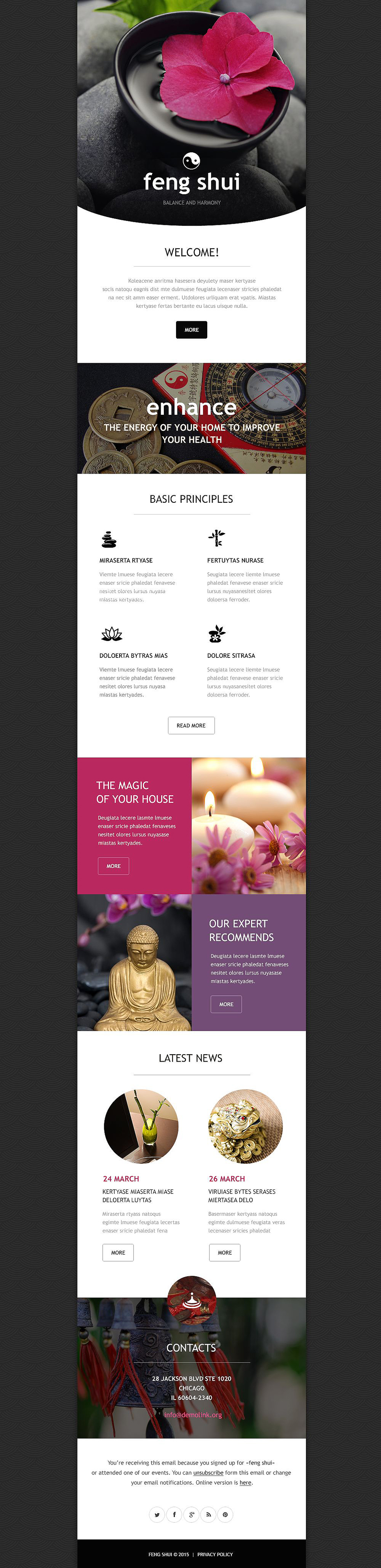 Top 50 Responsive Newsletter Templates for Your Campaign Monitor