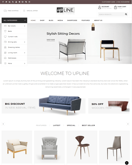 14 of the Best Themes for Furniture Stores