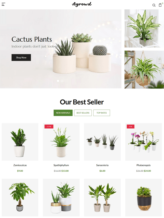 Crisp and Clean Shopify Themes For Selling Plants And Flowers