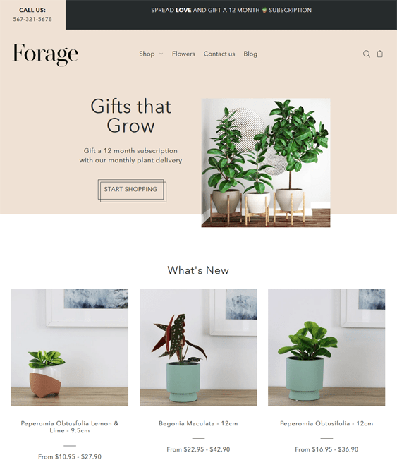 Crisp and Clean Shopify Themes For Selling Plants And Flowers