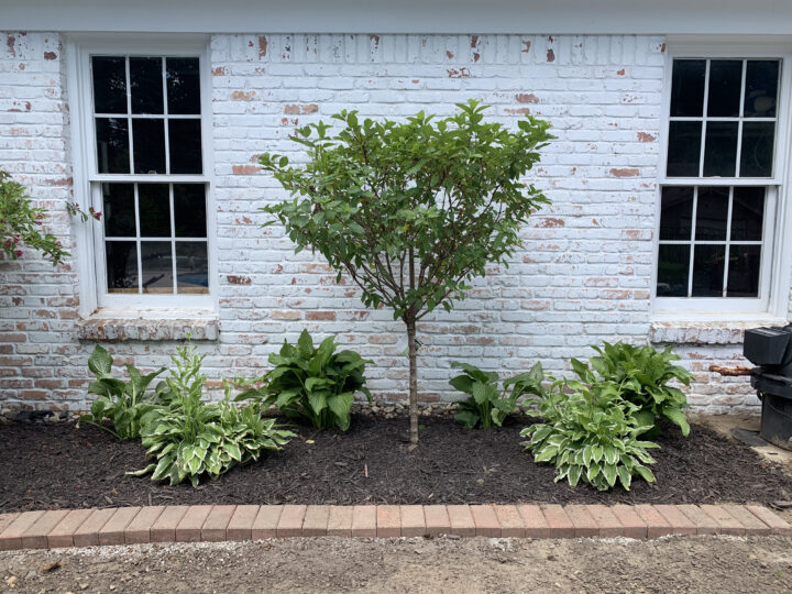 How to Plan a Flower Bed Garden for Beginners Building Bluebird