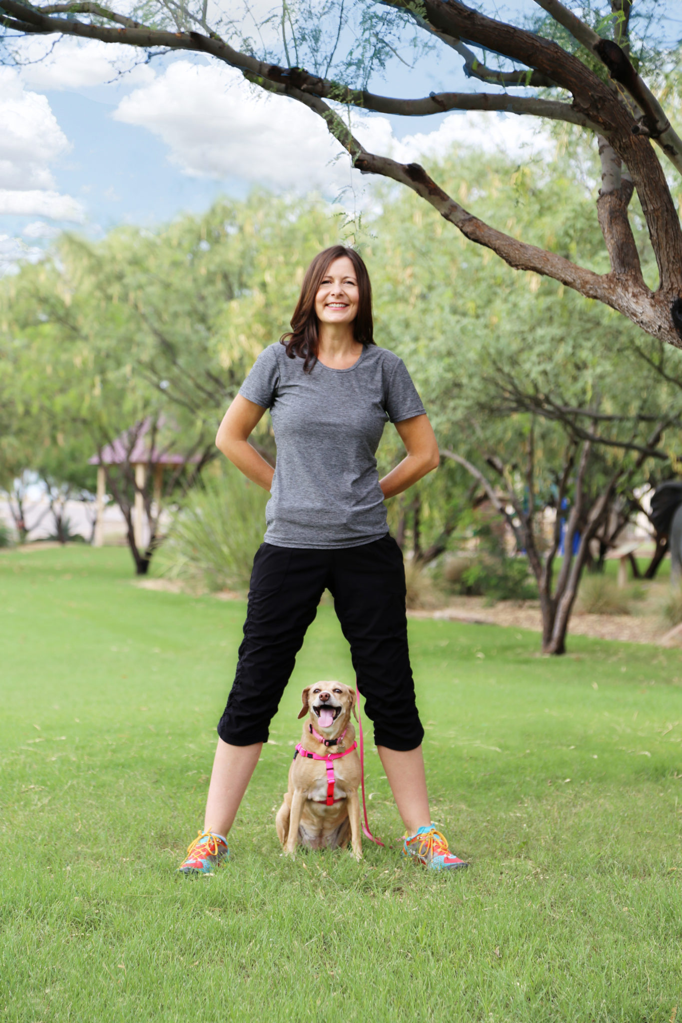 Building Bonds Dog Training Tucson, AZ Positive Reinforcement Dog