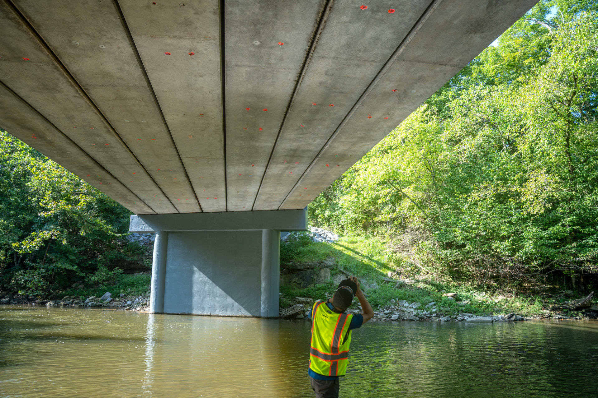 Kentucky bridge project successfully attracts endangered bats to roost