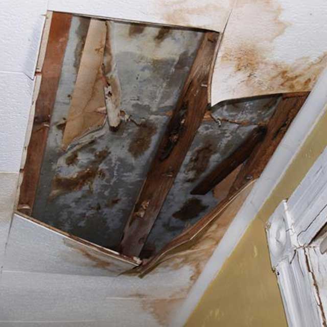 Deck Water Leaks in Los Angeles How we Identify Them Building Leak