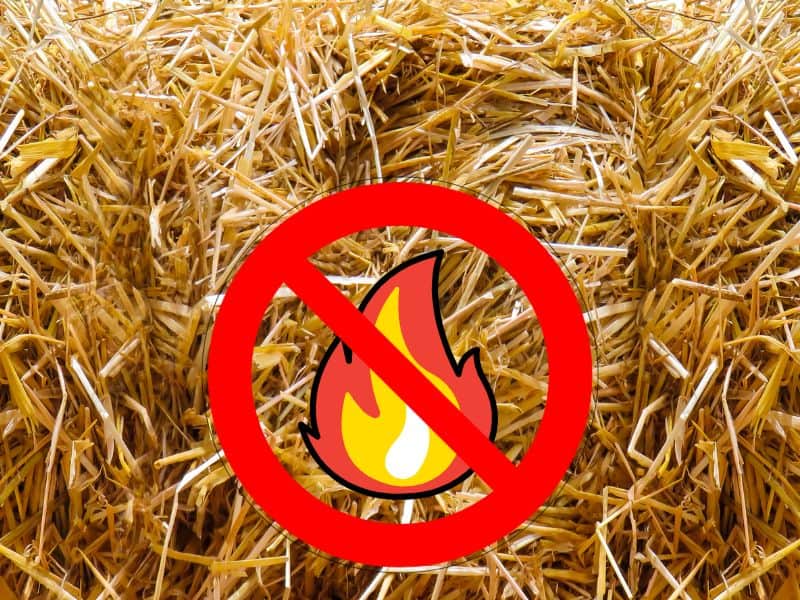 The Pros and Cons of Straw Bale Building (Should You Use?) Building Renewable