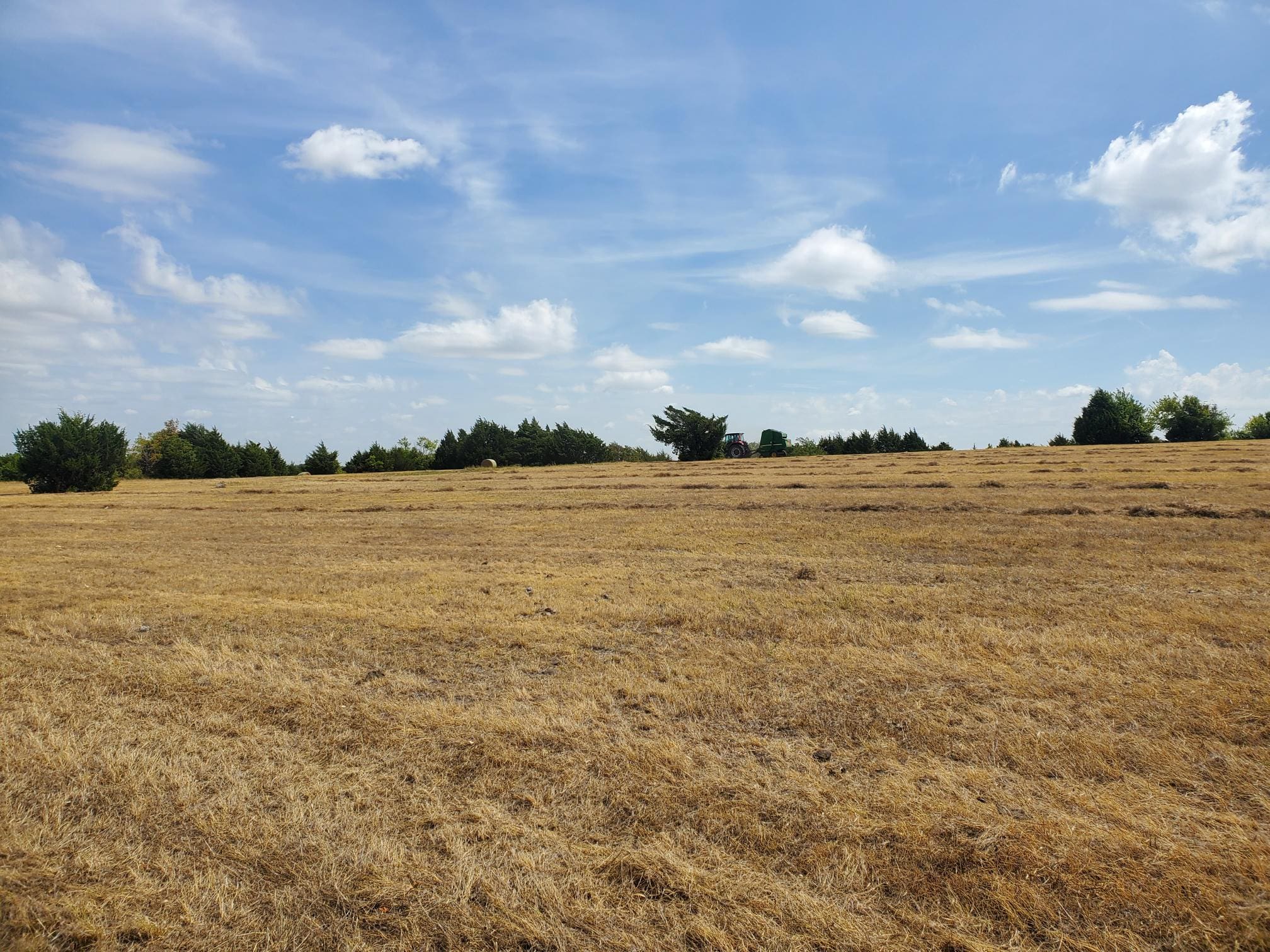 Deer Crossing Subdivision, Gunter Build Paragon