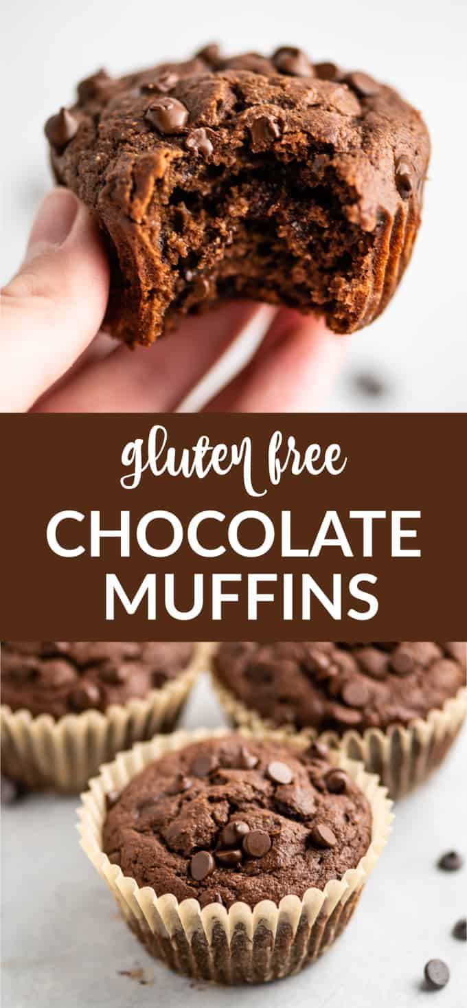 The BEST Gluten Free Chocolate Muffins Build Your Bite