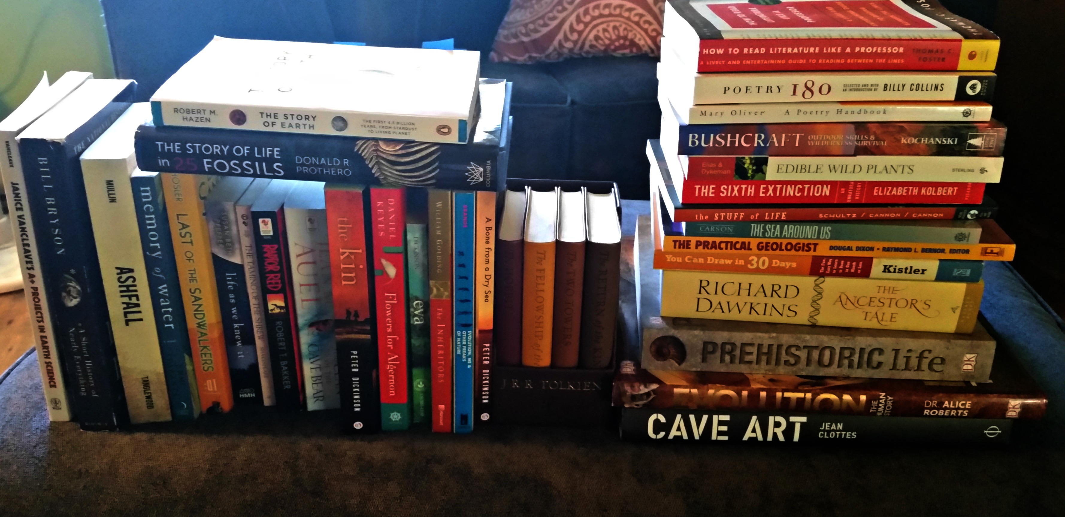 Purchase Grade 9 Curriculum Build Your Library