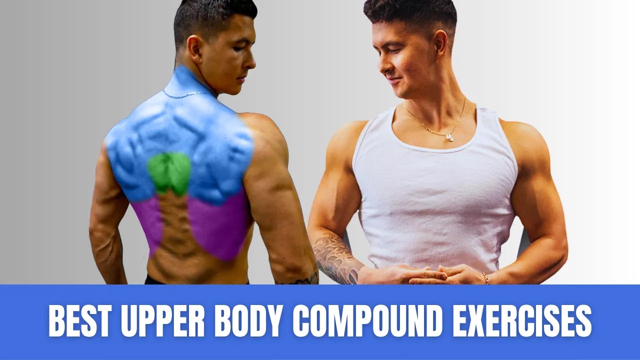 Compound Exercises For Upper Body Built With Science