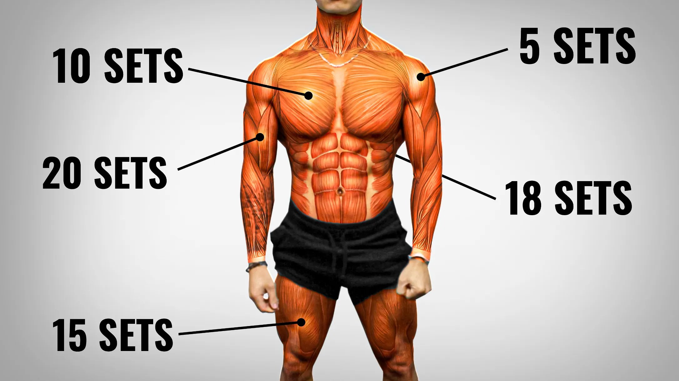 The Best Upper Body Workout Routine and Exercises