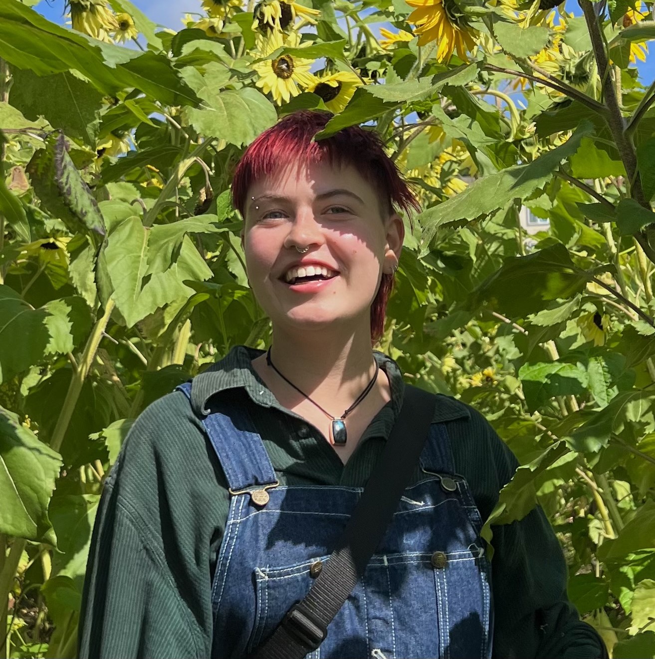 Berkeley Undergraduate Journal Since 1987, the BUJ publishes carefully reviewed and edited