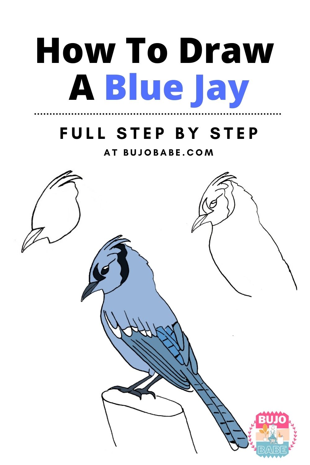 How To Draw A Blue Jay (Easy Step By Step Guide) Bujo Babe