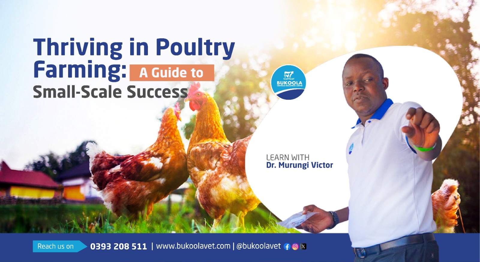 SmallScale Poultry Farming A Lucrative and Rewarding Venture