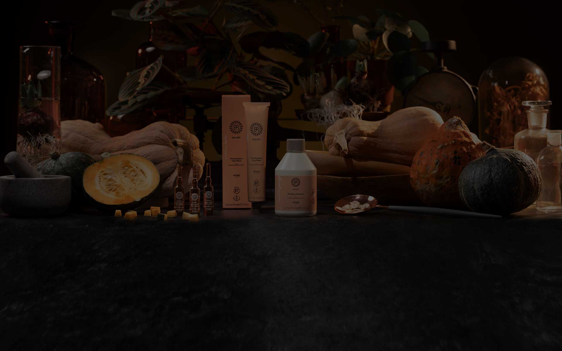 Bulbs&Roots Curative Purify Bulbs and Roots