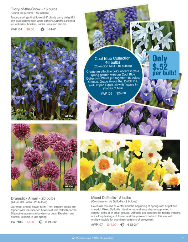 Bulbs For Change Flower bulb Fundraising for Spring and Fall