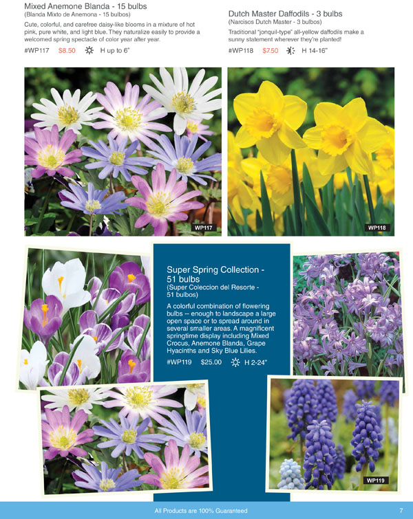 Bulbs For Change Flower bulb Fundraising for Spring and Fall