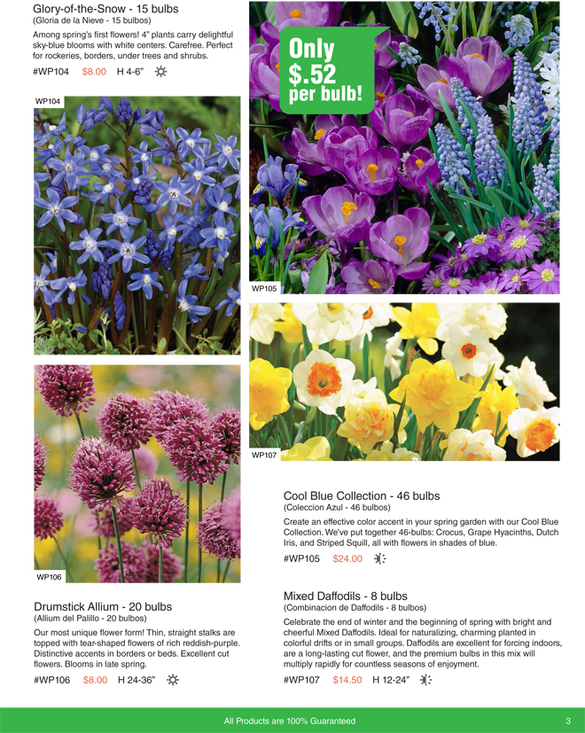 Bulbs For Change Flower bulb Fundraising for Spring and Fall