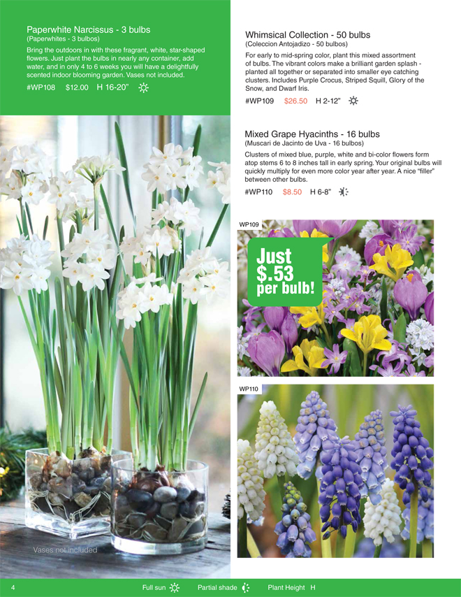 Bulbs For Change Flower bulb Fundraising for Spring and Fall