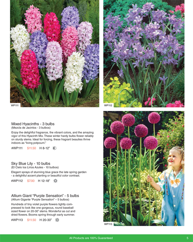 Bulbs For Change Flower bulb Fundraising for Spring and Fall