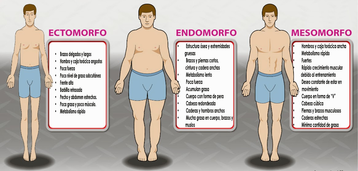 Calcular mi tipo de Cuerpo Según mis medidas (X) o (x)