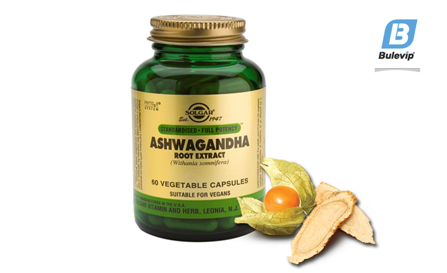 Ashwagandha Propiedades, usos y efectos secundarios El Blog Bulevip