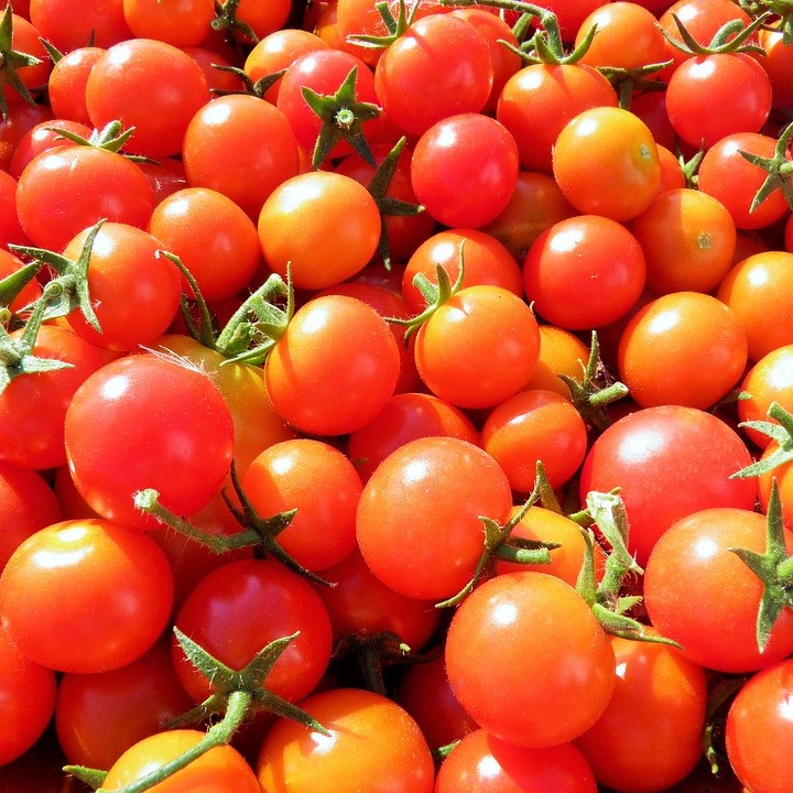 Tomato Seeds Large Red Cherry pkg