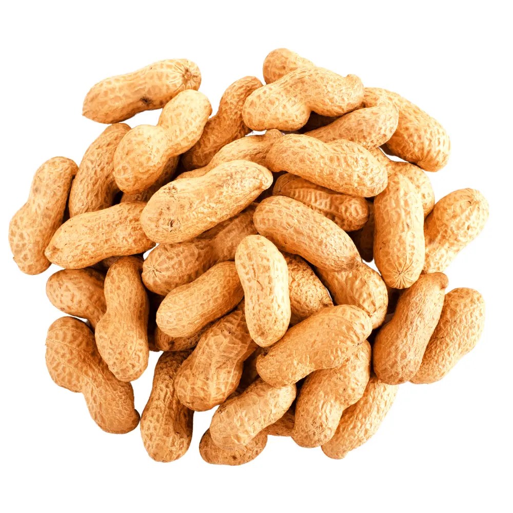 Peanuts In Shell Unsalted Roasted 2.5 Lbs, Bulk Shelled Peanuts — Bulk Mart