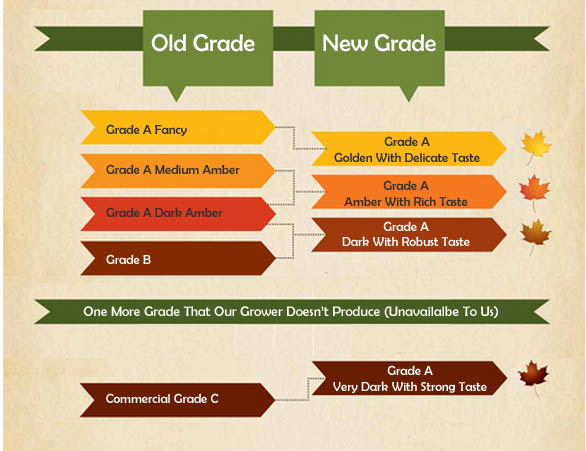 New Grades of Vermont Organic Maple Syrup | Bulk Natural Foods
