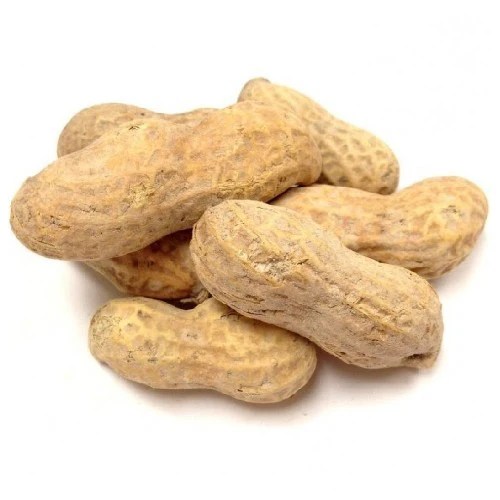 Roasted Peanuts (In Shell) Bulk n Bits