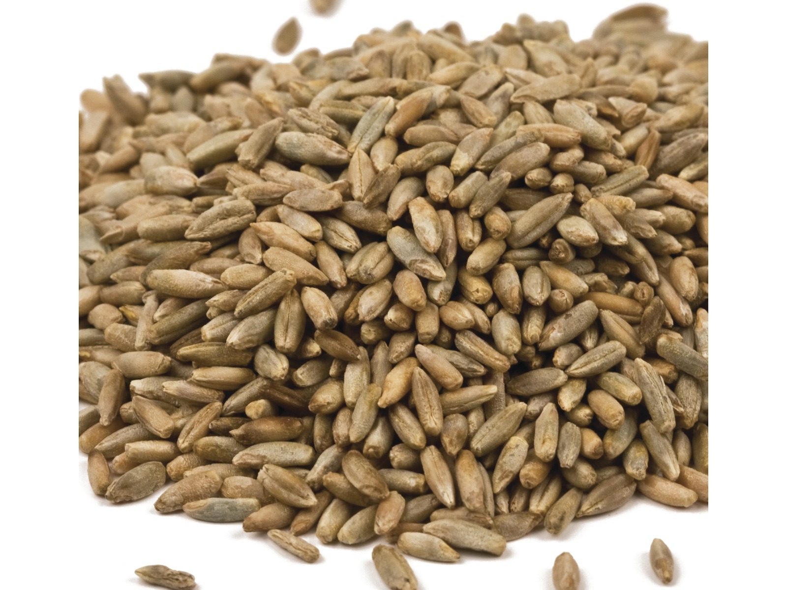 Organic Rye Berries 50 lbs. Bulk Nuts 4 You