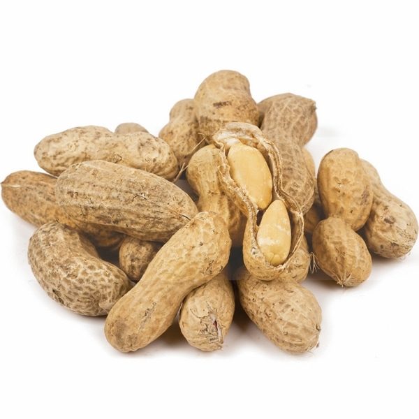 Peanuts, In the Shell Jumbo Roasted Unsalted 25 lbs. [Sach's Nut
