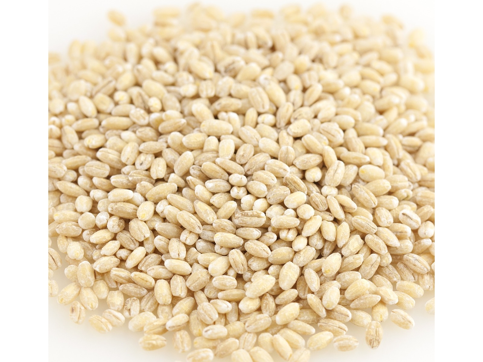 Organic Pearled Barley 25 lbs. Bulk Nuts 4 You