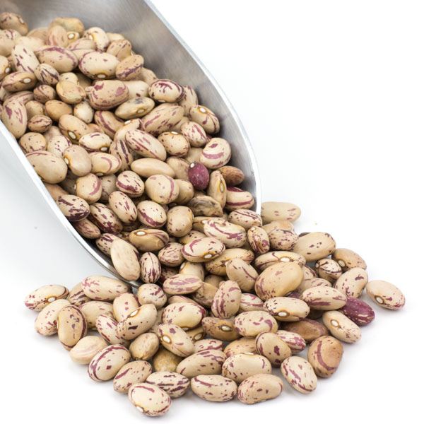 Organic Cranberry Beans 25 lbs. Bulk Nuts 4 You